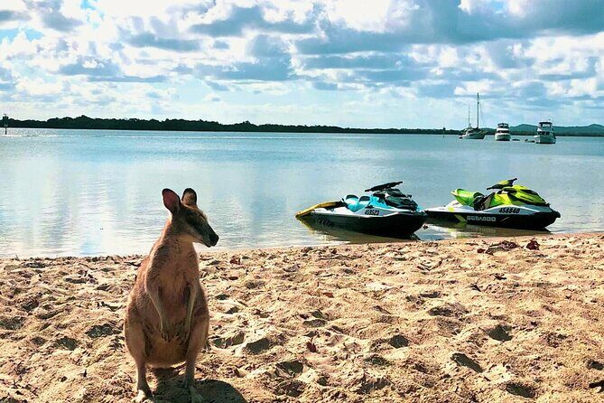 Gold Coast 30 Minute Jetski Tour in Surfers Paradise - The Value of the Experience