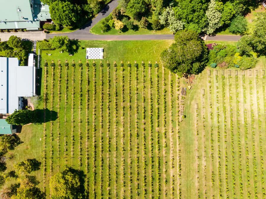Gold Coast: Luxury Wine Tour with Gourmet Lunch & Distillery - A Deep Dive into the Experience