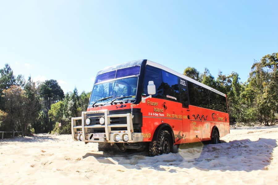 Gold Coast: Moreton Island Day Trip Kayak & Sandboarding - Authentic Experiences and Genuine Reviews