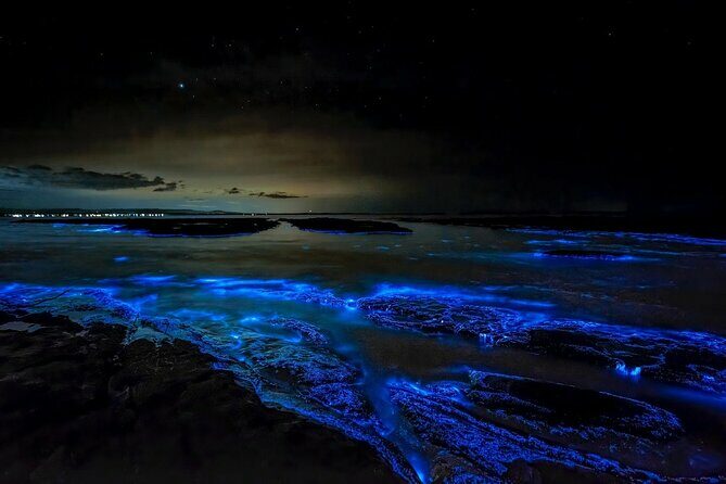 Grand Cayman Bioluminescence Experience - The Pros and Cons Based on Real Feedback