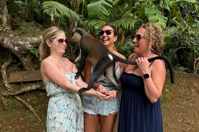 Grenada Nature and Heritage Escape Private Tour with Pickup - Final Thoughts: Is It Worth It?