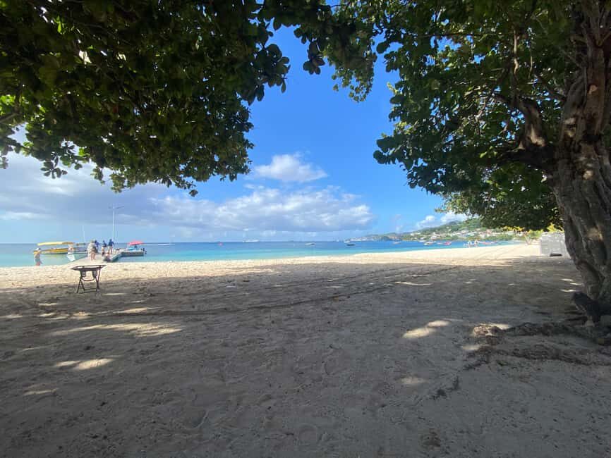 Grenada: Spice and Herb Garden Tour with Beach Visit - Who Will Enjoy This Tour?