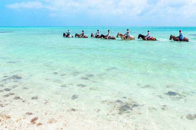 Group Beach and Ocean Horseback Adventure in Providenciales - Practical Tips for Participants