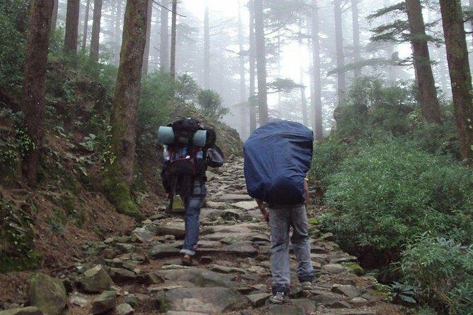 Guided Day Hike to Guna Devi Temple from Mcleodganj - Practical Details and Tips