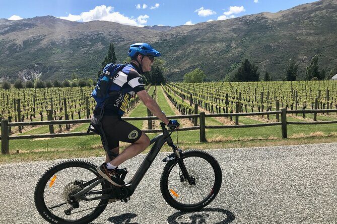Guided eBike Wine Tour Ride to the Vines - Analyzing the Value