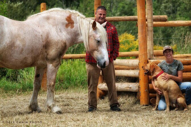 Guided Horse Riding in the Bay of Saint Paul Valley - What’s Included and What to Consider