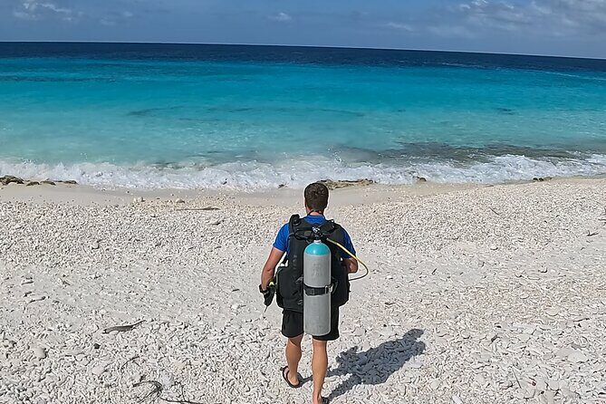 guided Shore Diving in Bonaire Marine Park with 2 Dives - The Sum Up