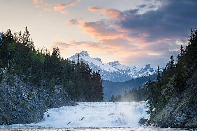 Guided Tour to Banff Highlights & Wildlife With Gondola Admission - Authentic Experiences and Real-Life Insights