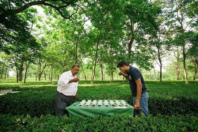 Guided Tour to Palampur-Monasteries, Temple & Tea Gardens visit - Who Should Consider This Tour?