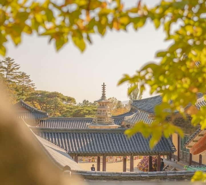 Gyeongju: Private Car Tour with a Licensed Tour Guide - Why This Tour Really Works