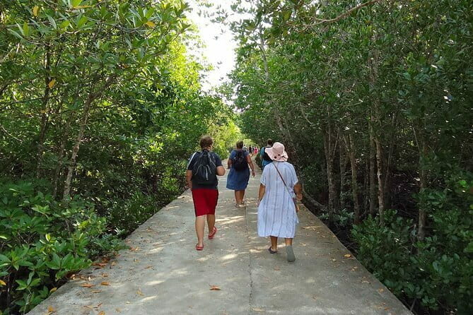 Half Day Mangrove and Lanta Old Town Tour - Old Town: A Walk Through Lantas Past