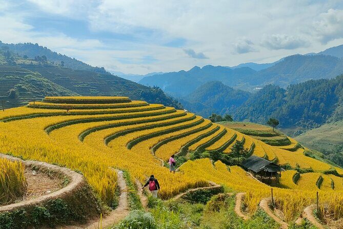 Half Day Private Trekking Mu Cang Chai_Morning or Afternoon - FAQs about the Mu Cang Chai Half-Day Trekking Tour