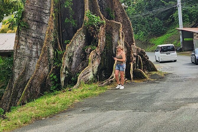 Half Day Tobago Tours with Transfers - What Does the Tour Include and Exclude?