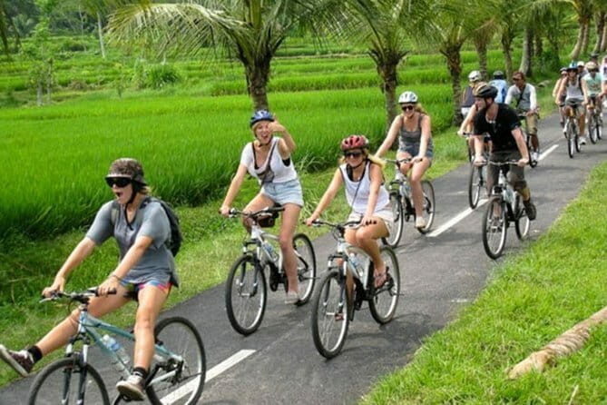 Halo Bike Cycling Tour Downhill - Practical Details and Considerations