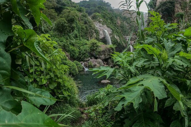Hike and Swim in fresh springs and waterfalls in Guadalajara - Authentic Traveler Experiences