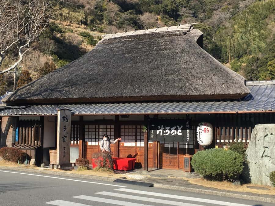Hike Hakone Hachiri Japan Heritage Area - Practical Details & What to Bring