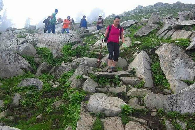 Hiking Day Tour to Triund from Dharamshala - Descent and Return