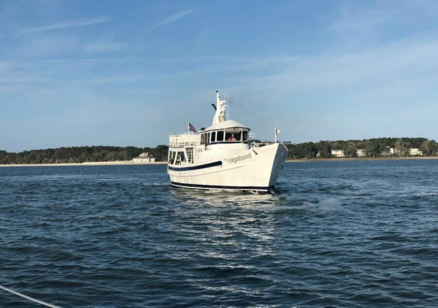 Hilton Head Island: Ocean Dolphin Cruise - Wildlife Encounters and Scenic Views