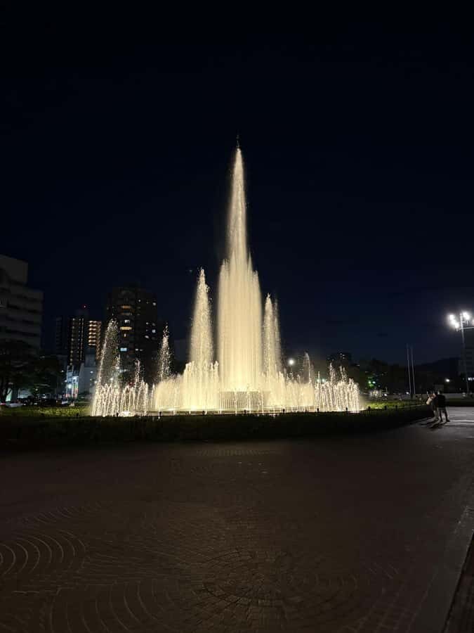 Hiroshima: From Tragedy to Peace Memorial Park Tour. - What to Expect: Practical Details