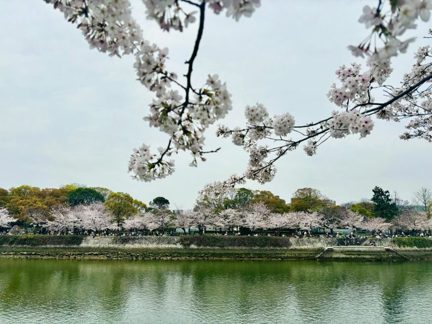Hiroshima: History of Hiroshima Group Walking Tour - Authentic Stories and Real-World Insight