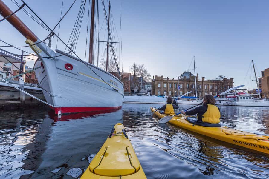Hobart City 2.5-Hour Kayak Tour - The Itinerary and What to Expect