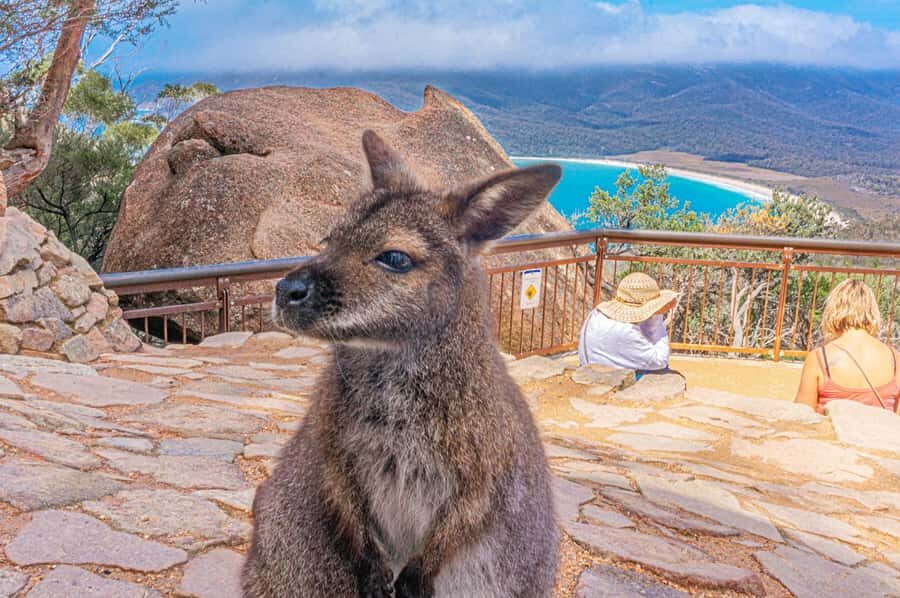 Hobart: Wineglass Bay, Freycinet Park, and Richmond Tour - Practical Details and Why Value Matters