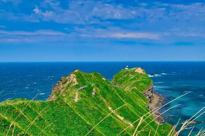 Hokkaido Cape Kamui Shimamui Coast Otaru Day Tour from Sapporo - What’s Included and What’s Not