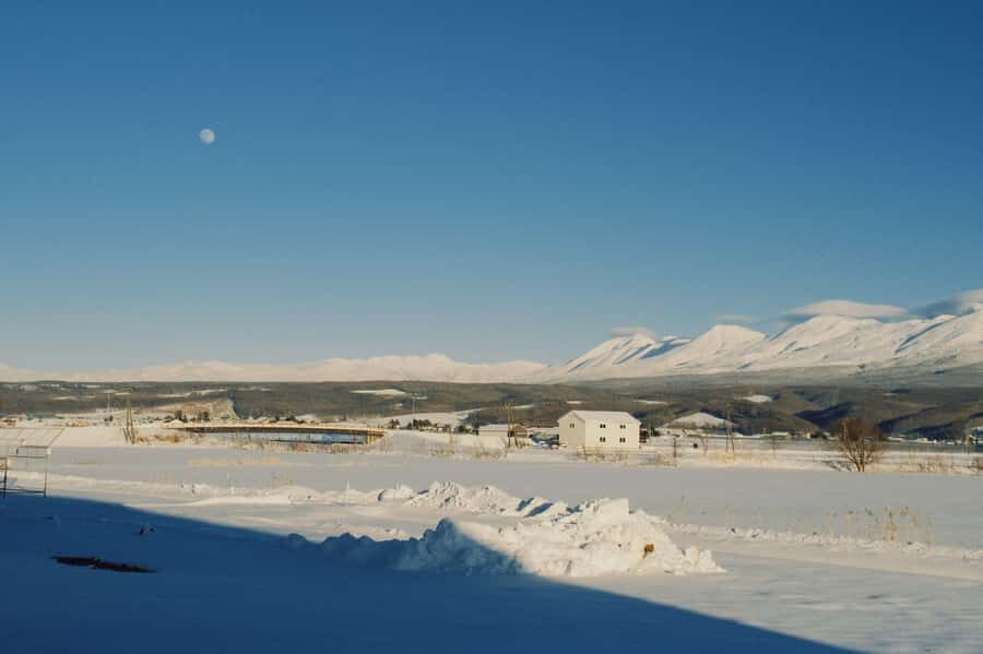 Hokkaido Tour: Snowy Landscapes & Polar Animals & Waterfalls - Scenic Stops in Biei: The Iconic Trees