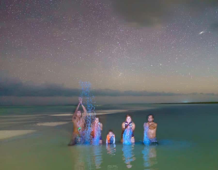 Holbox: Bioluminescence Kayaking and Stargazing - What’s Included and How It Works