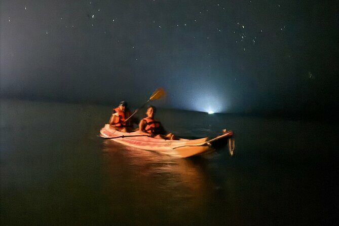 Holbox Kayak Bioluminescence Experience - What Makes This Tour Special?