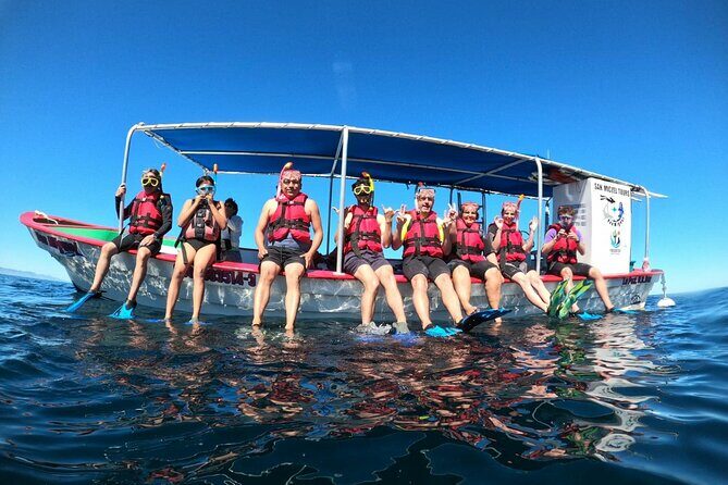 Holy Spirit Island Tour and snorkeling with sea lions - The Value & Who Should Book