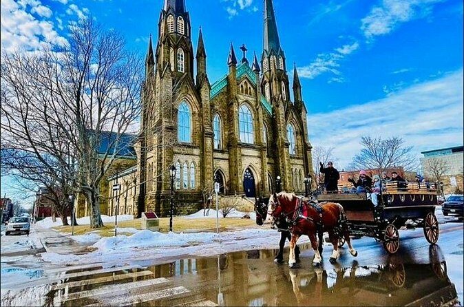 Horse Drawn Historical Guided Tour - Understanding the Value for Money