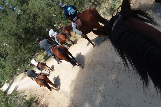 Horseback Ride for 2 or more - The Guide and Group Dynamics: Friendliness Matters