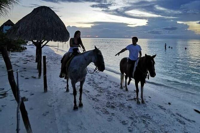 Horseback Riding on the Beaches of Holbox - The Sum Up