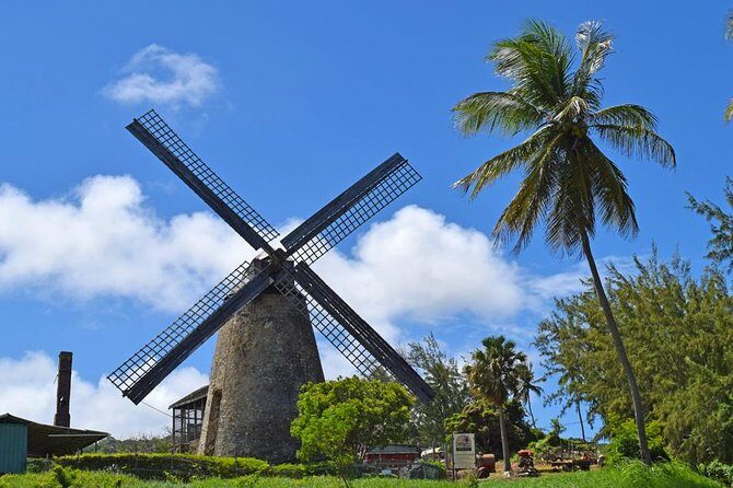 Hunte's Garden and St Nicholas Abbey small group Barbados tour - The Experience: What to Expect from Each Stop