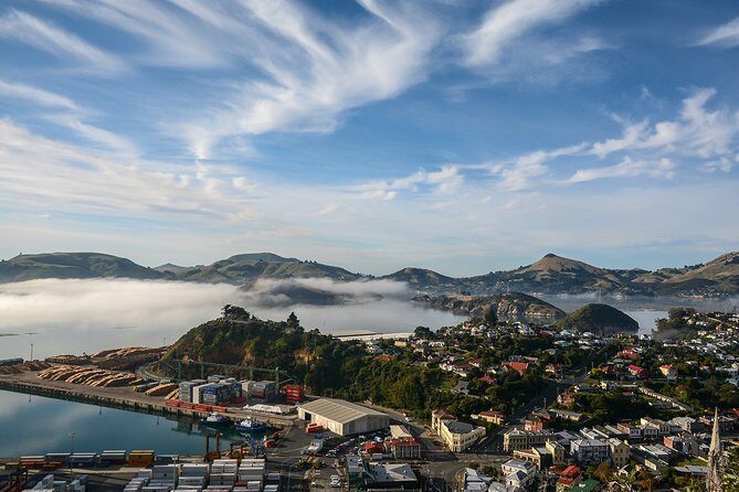 Iconic Shore Excursion: Dunedin City Highlights Tour - The Practical Aspects: Transport, Timing, and Price