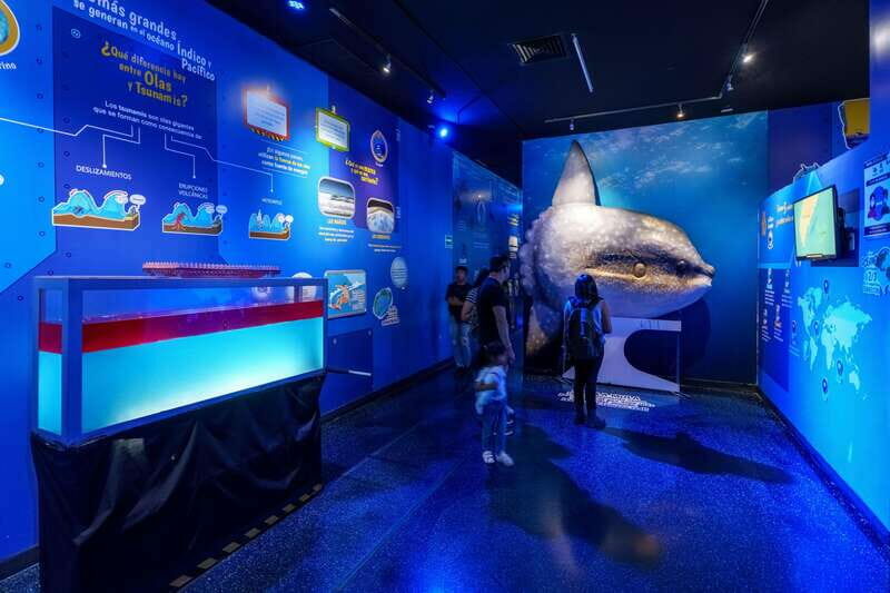 Inbursa Aquarium Entry Ticket with VR Option - Practical Details and Tips for Visitors