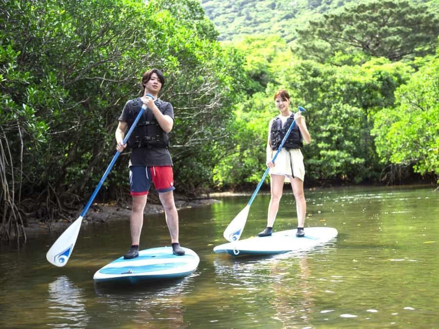 Iriomote island: Mangrove River SUP or Canoe Cruising Tour - Detailed Breakdown of the Itinerary