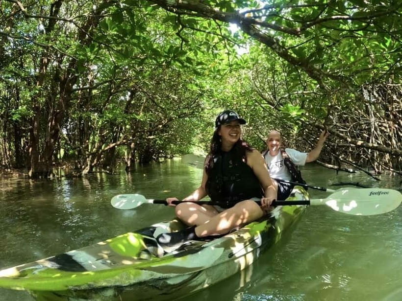 Ishigaki Island: 2-Hour Miyara River SUP or Canoeing Tour - Why Choose This Tour?