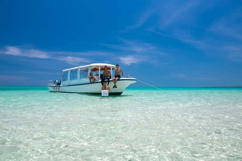 Ishigaki: Mangrove SUP or Canoe & Phantom Island Snorkeling - Why This Tour Excels