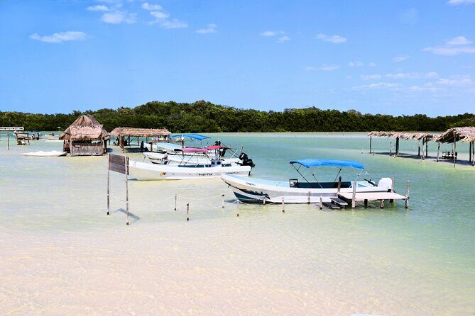 Isla Columpios and Progreso Day Trip - Who Would Enjoy This Tour?