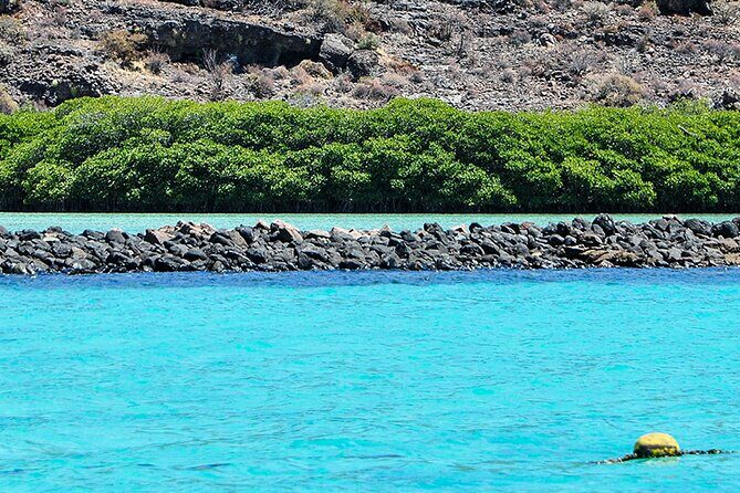 Isla Espiritu Santo and Balandra Tour - Who Should Consider This Tour?
