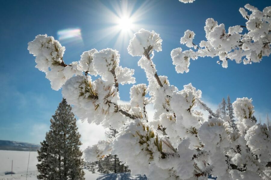 Jackson: Yellowstone Snowmobile Tour to Old Faithful - The Snowmobile Ride: A Thrilling Exploration