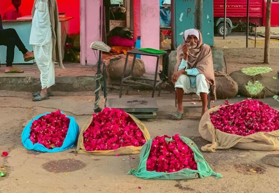 Jaipur: Half-Day Guided Sightseeing Tour with Flower Market - What Makes This Tour Stand Out?