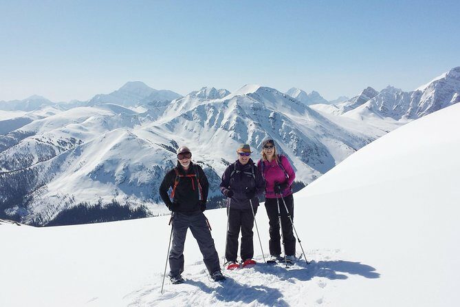 Jasper SkyTram - What to Expect: The Itinerary Breakdown