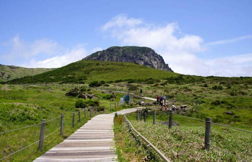Jeju: UNESCO Day Tour for Cruise Guests - Transportation and Comfort