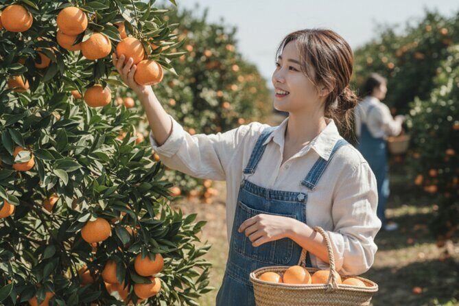 Jeju: UNESCO-Listed Southern Authentic Day Tour - The Practical Details and Why They Matter