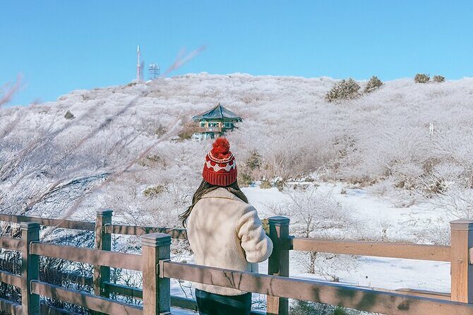 Jeju WEST&SOUTH One Day Tour with MT.halla & UNESCO - Itinerary Breakdown: What Youll Experience
