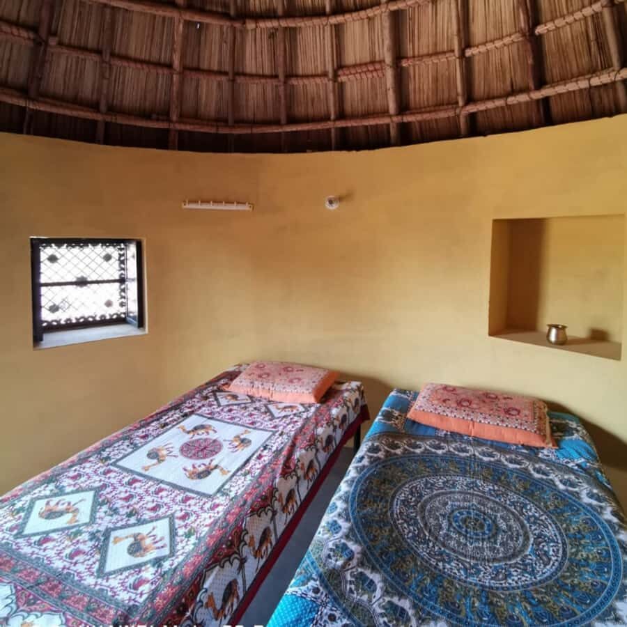 Jodhpur Camel Safari & Overnight Stay In Desert With Sumer - Why This Tour Excels: Authenticity, Community, and Value
