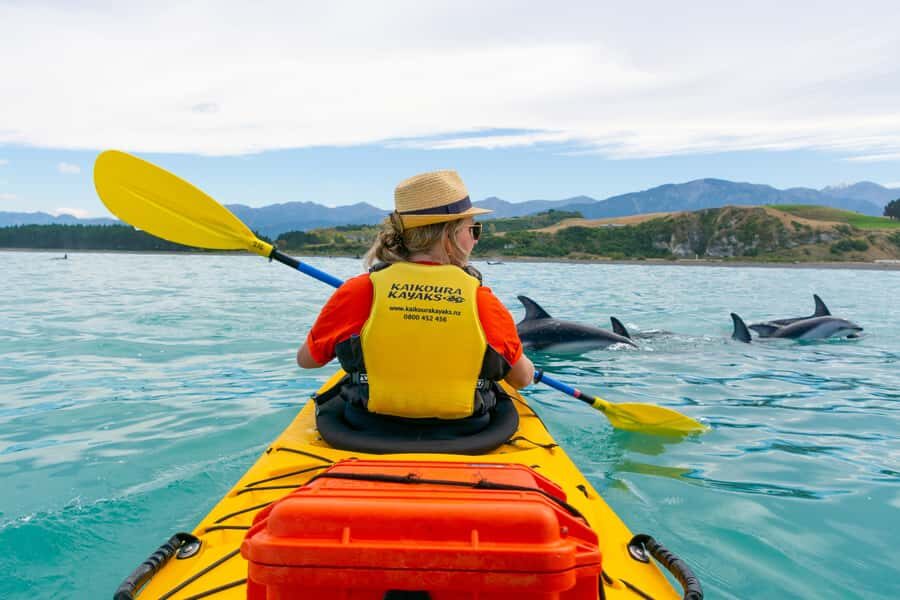 Kaikoura: Half-Day Wildlife Kayaking Tour - The Guide and Group Dynamics